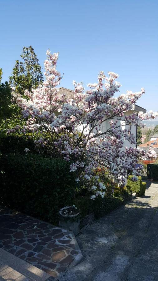 포르노보 디 타로 Nel Giardino Di Oz B&B 외부 사진