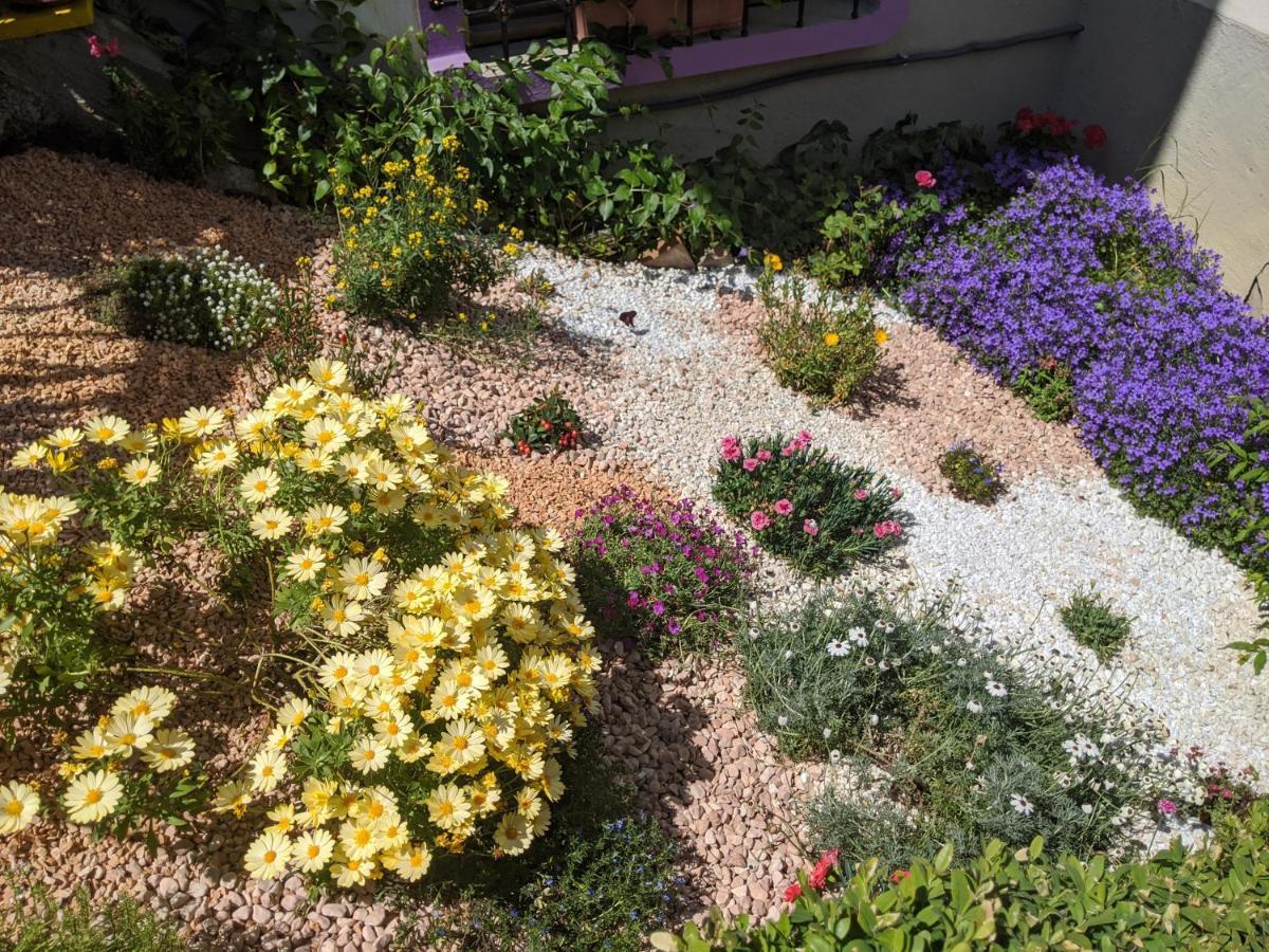 포르노보 디 타로 Nel Giardino Di Oz B&B 외부 사진